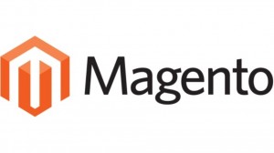 Magento webshop hosting